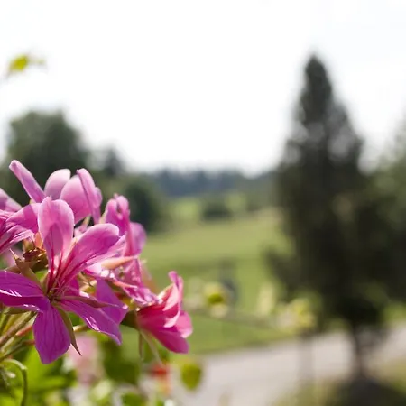 Hoehengasthof Roessle